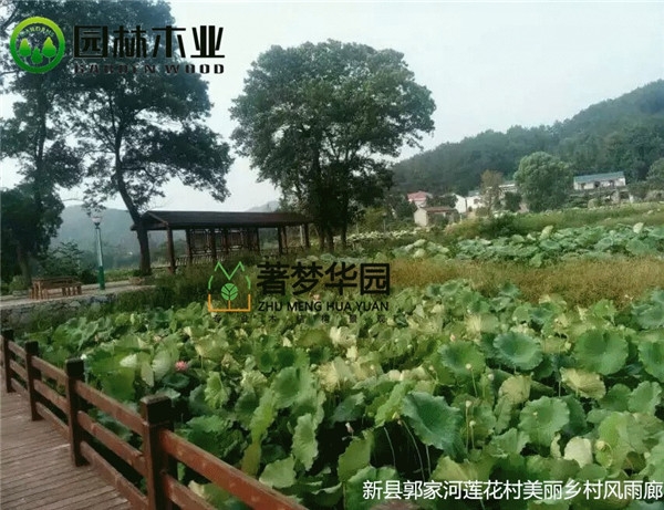 91短视频网站風雨廊